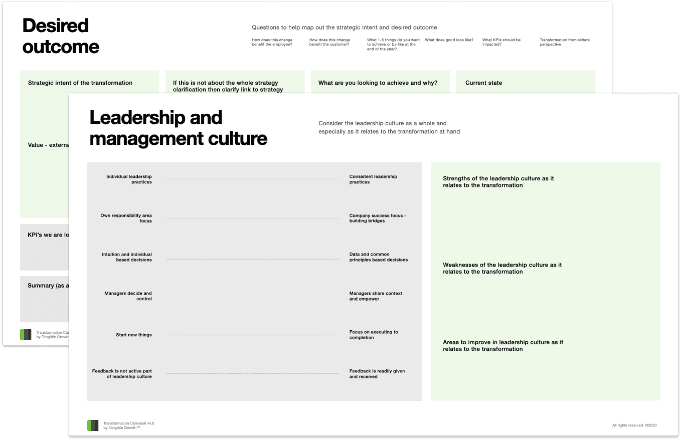 Transformation Canvas preview 2